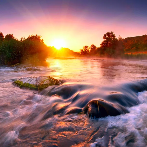 Bir nehir sisli sabahı