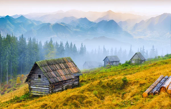 Alba di montagna — Foto Stock