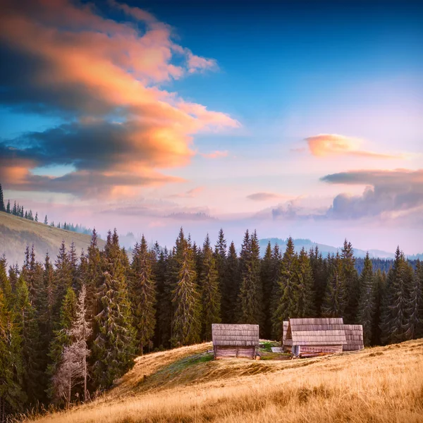 Ozerna sabah — Stok fotoğraf