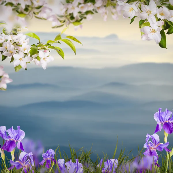 Fondo de flores —  Fotos de Stock