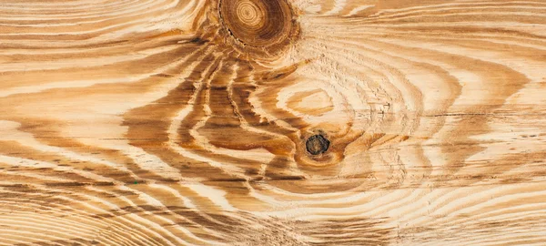 Nature wooden texture — Stock Photo, Image