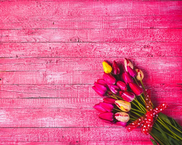 Varios tulipanes coloridos — Foto de Stock
