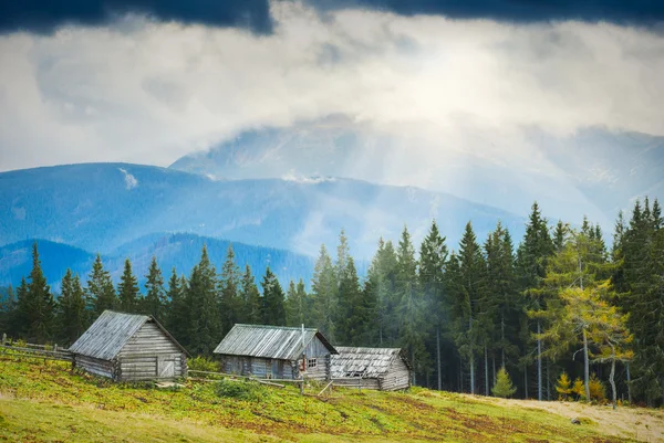 Polonina — Stok fotoğraf