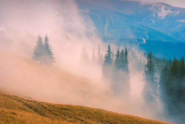 Nebbia rossa — Foto Stock