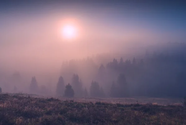 Červená mlha — Stock fotografie