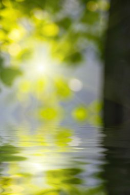 Işık ışınları ile doğal arka plan