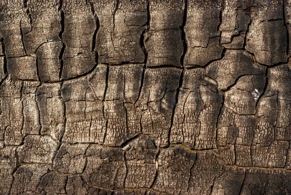 Verbrande houten achtergrond — Stockfoto