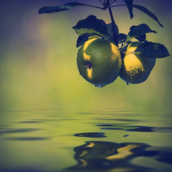 Jablka, odráží — Stock fotografie