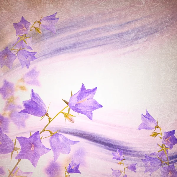 Колокольчик цветы фон — стоковое фото