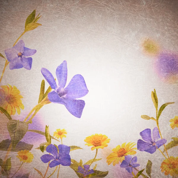 Azul & flores amarelas fundo — Fotografia de Stock