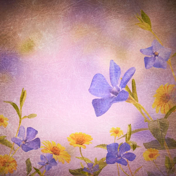 Fondo de flores azules y amarillas — Foto de Stock
