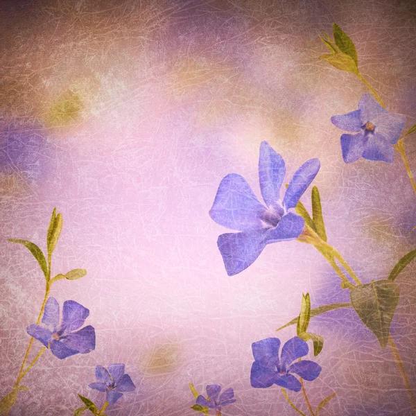 Fondo de flores azules — Foto de Stock