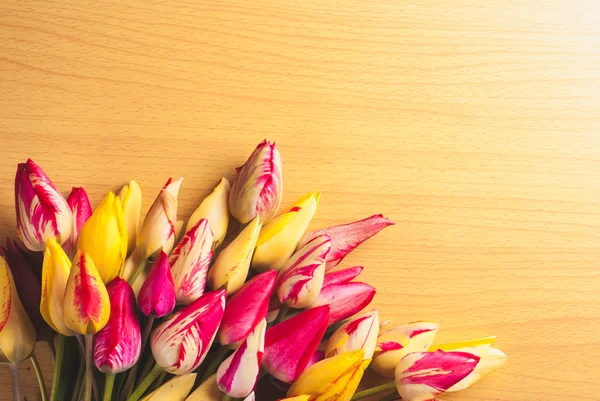 Ahşap arka plan üzerinde renkli tulipes — Stok fotoğraf