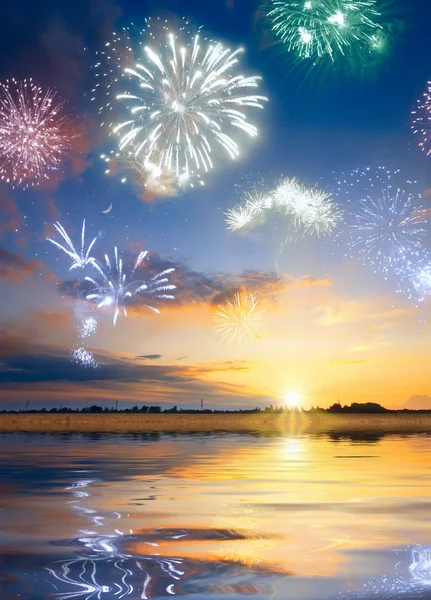 Firework in a sky — Stock Photo, Image