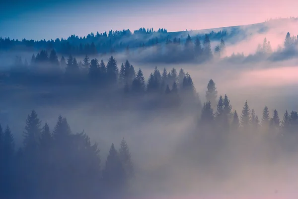 Sonnennebel — Stockfoto