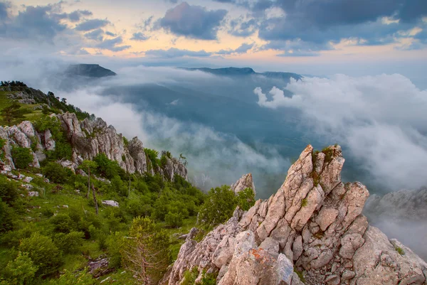 Tarah-Haya — Stok fotoğraf