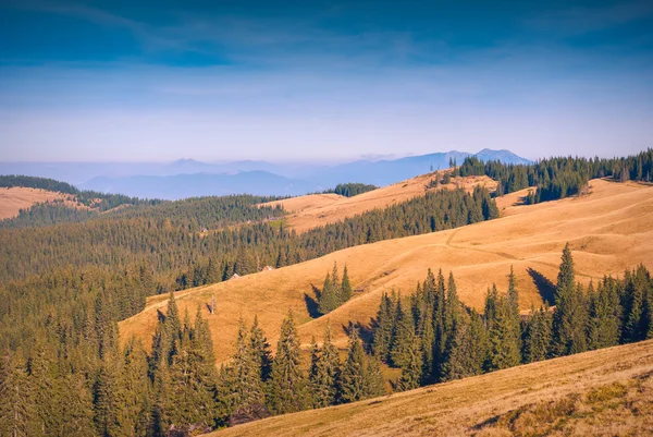 Ukrainian mountains — Stock Photo, Image