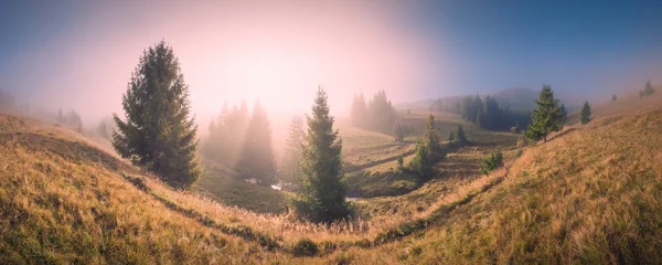 ピンクの霧の谷 — ストック写真