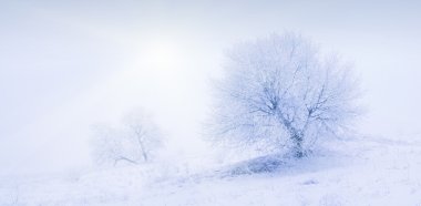 Güzel kış kar Vadisi