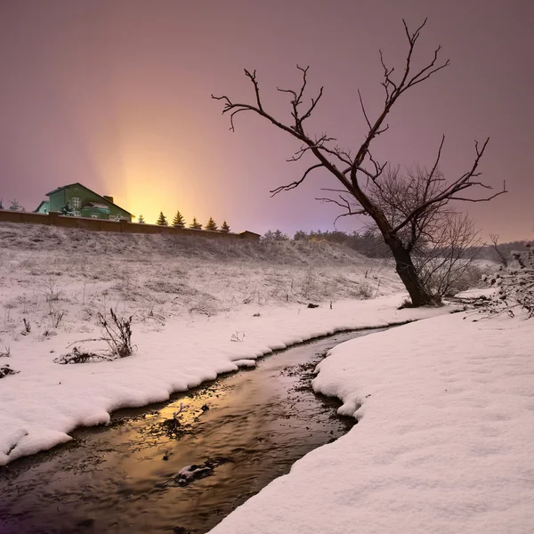 Noche invierno paisaje — Foto de Stock