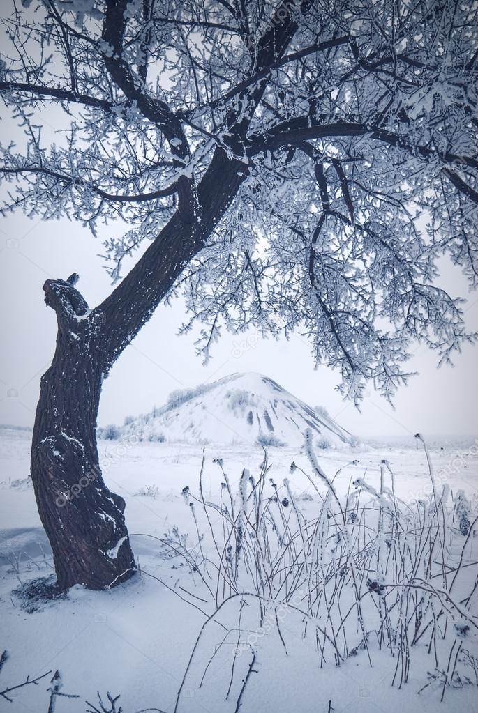 Snow winter landscape