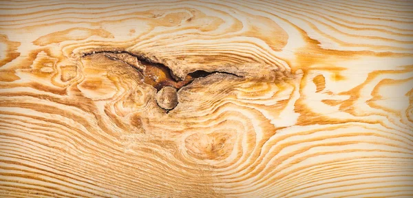 Natureza textura de madeira — Fotografia de Stock