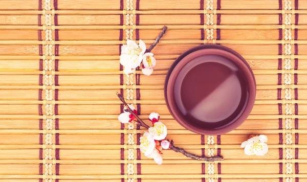 Tea with sakura flowers — Stock Photo, Image