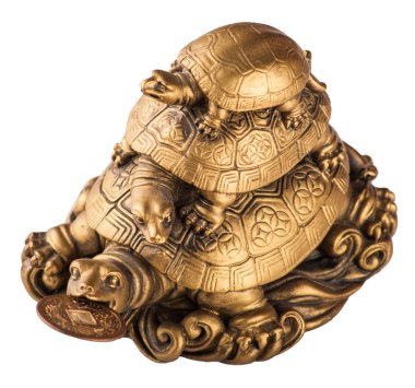 Altın feng-shui kaplumbağalar