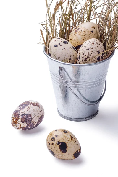 Huevos de Pascua en cubo — Foto de Stock