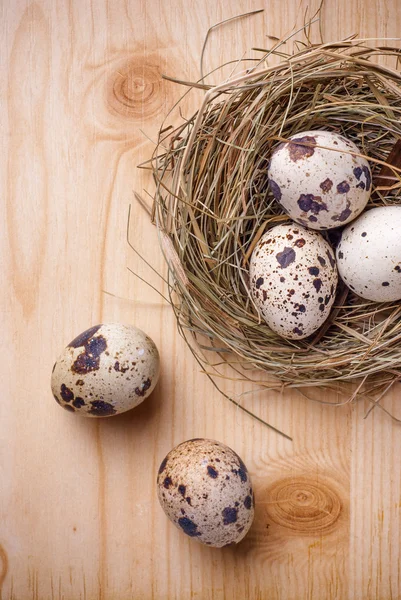 Huevos de Pascua en el nido — Foto de Stock