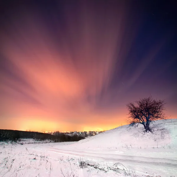 Winter snowy night — Stock Photo, Image