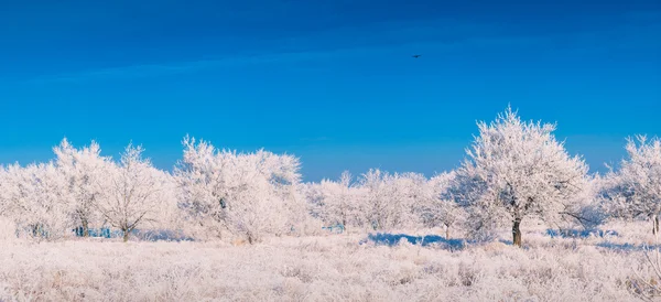 Morgon i vinter dalen — Stockfoto