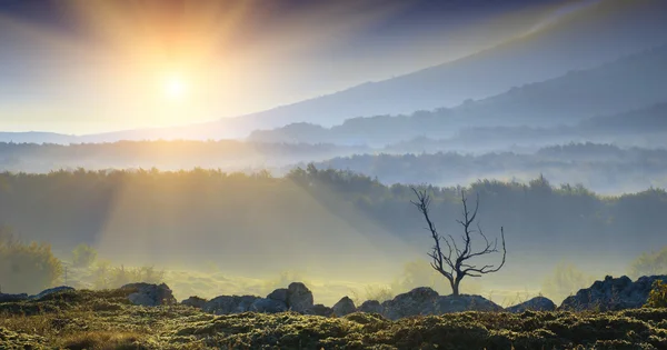 Sunrise in mountain valley — Stock Photo, Image