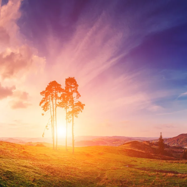 Vale dos Cárpatos com nascer do sol — Fotografia de Stock