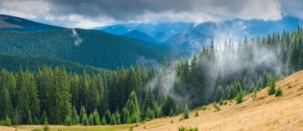 Carpathian mountain valley — Stock Photo, Image