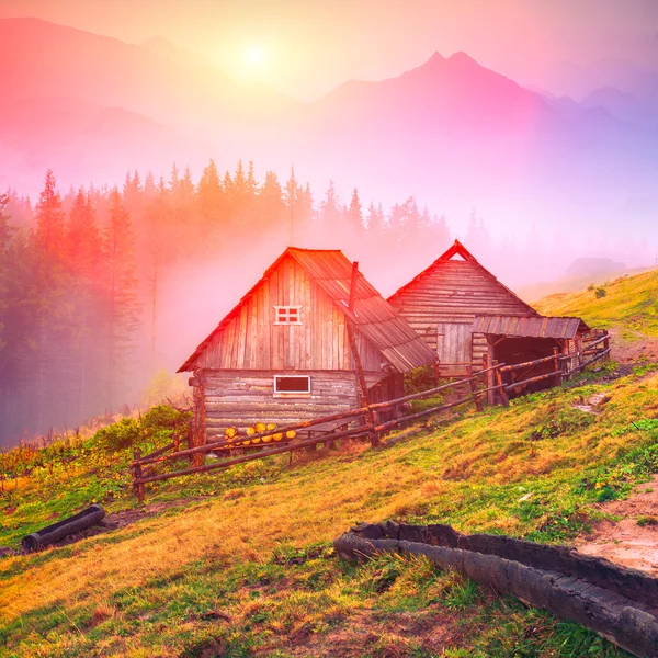 Casas en una montaña Cárpatos . — Foto de Stock