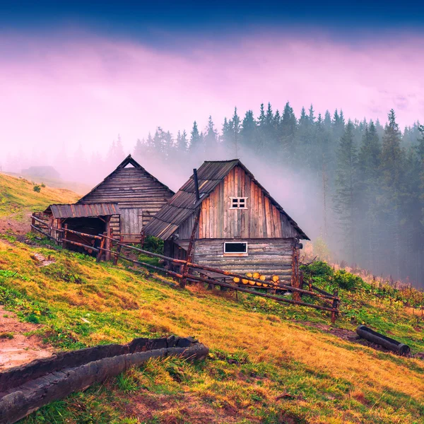 Casas em uma montanha dos Cárpatos . — Fotografia de Stock