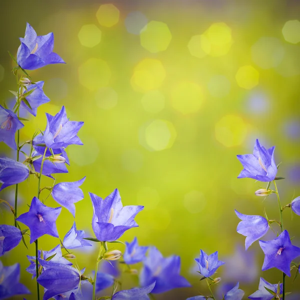 Cloche bleue fleurs fond — Photo