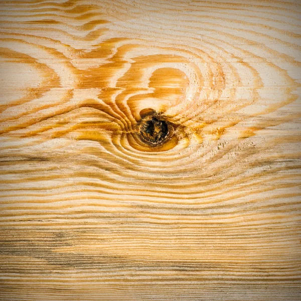 Natureza textura de madeira — Fotografia de Stock