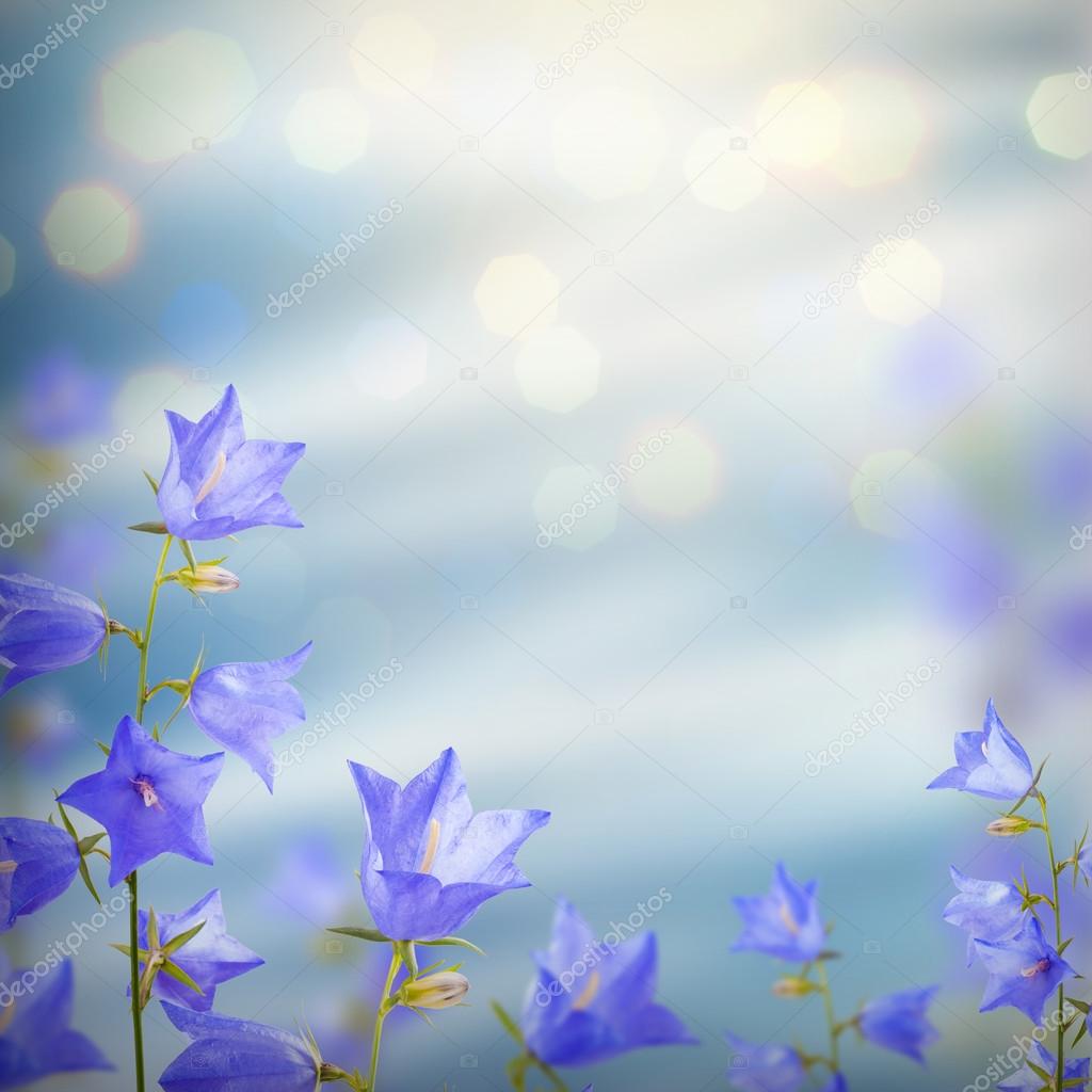 Blue bell flowers background