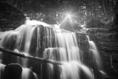 Karpat sonbahar watrefall. Tek renkli