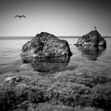 Crimea deniz manzarası. Siyah ve beyaz