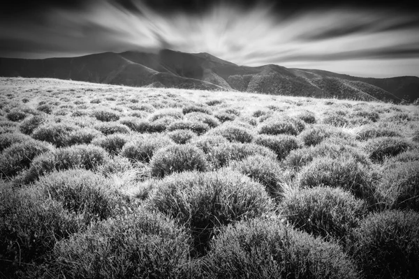 Kárpát-hegység. Fekete-fehér színek — Stock Fotó