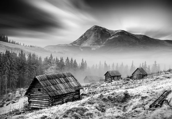 Karpat Dağları. Tek renkli renkler