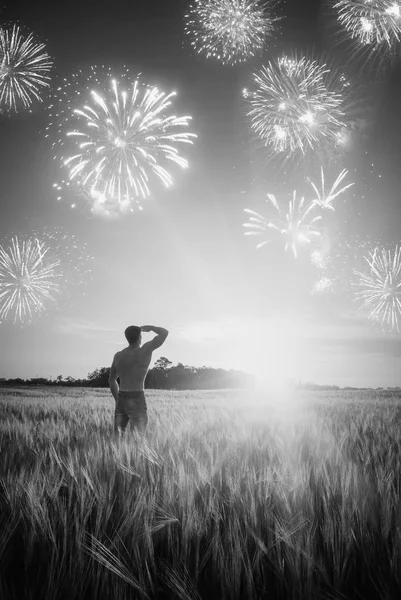 Fogos de artifício num campo de trigo. Preto e branco — Fotografia de Stock