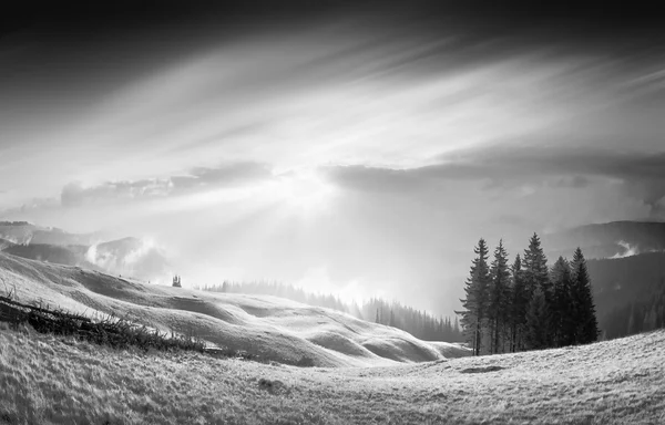 Gold Carpathian light b&w — Stock Photo, Image