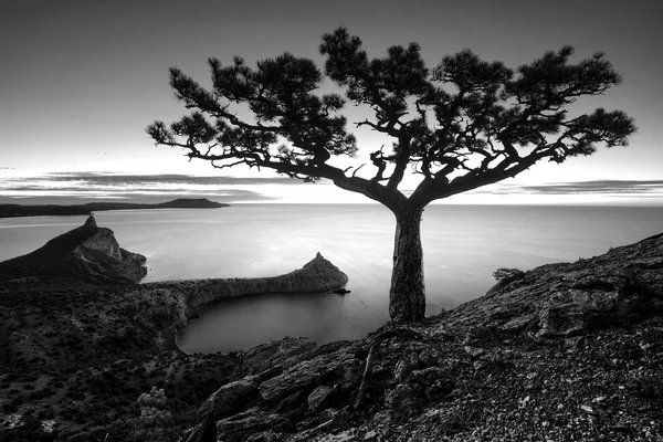 Wschód słońca nad Morzem Czarnym. Kolory monochromatyczne — Zdjęcie stockowe