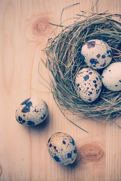 Huevos de Pascua — Foto de Stock