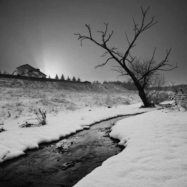 Salida de la luna de invierno. Blanco y negro —  Fotos de Stock