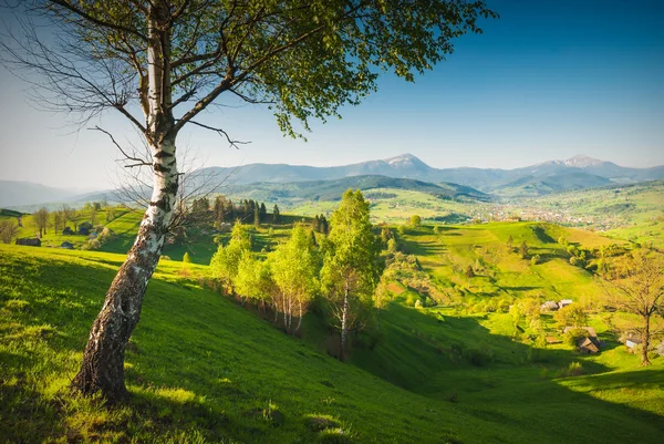 Pueblo de los Cárpatos en un valle de primavera — Foto de Stock